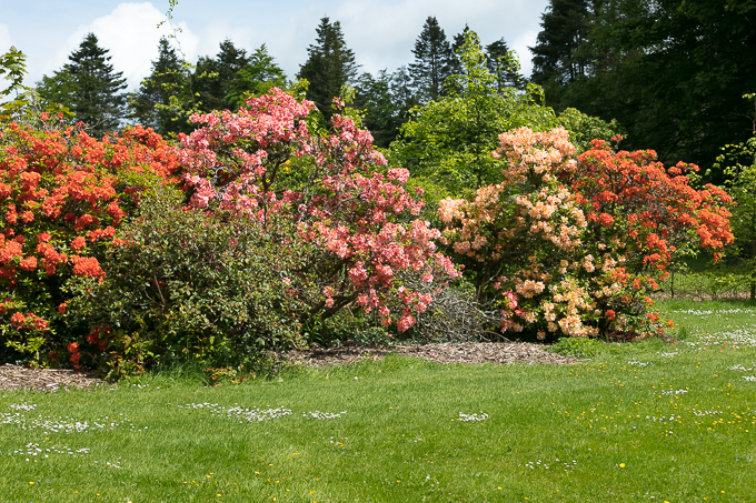 ireland may 2017 (08)